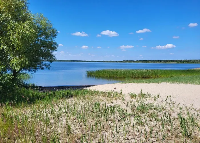 Schlossterrassen 8a *